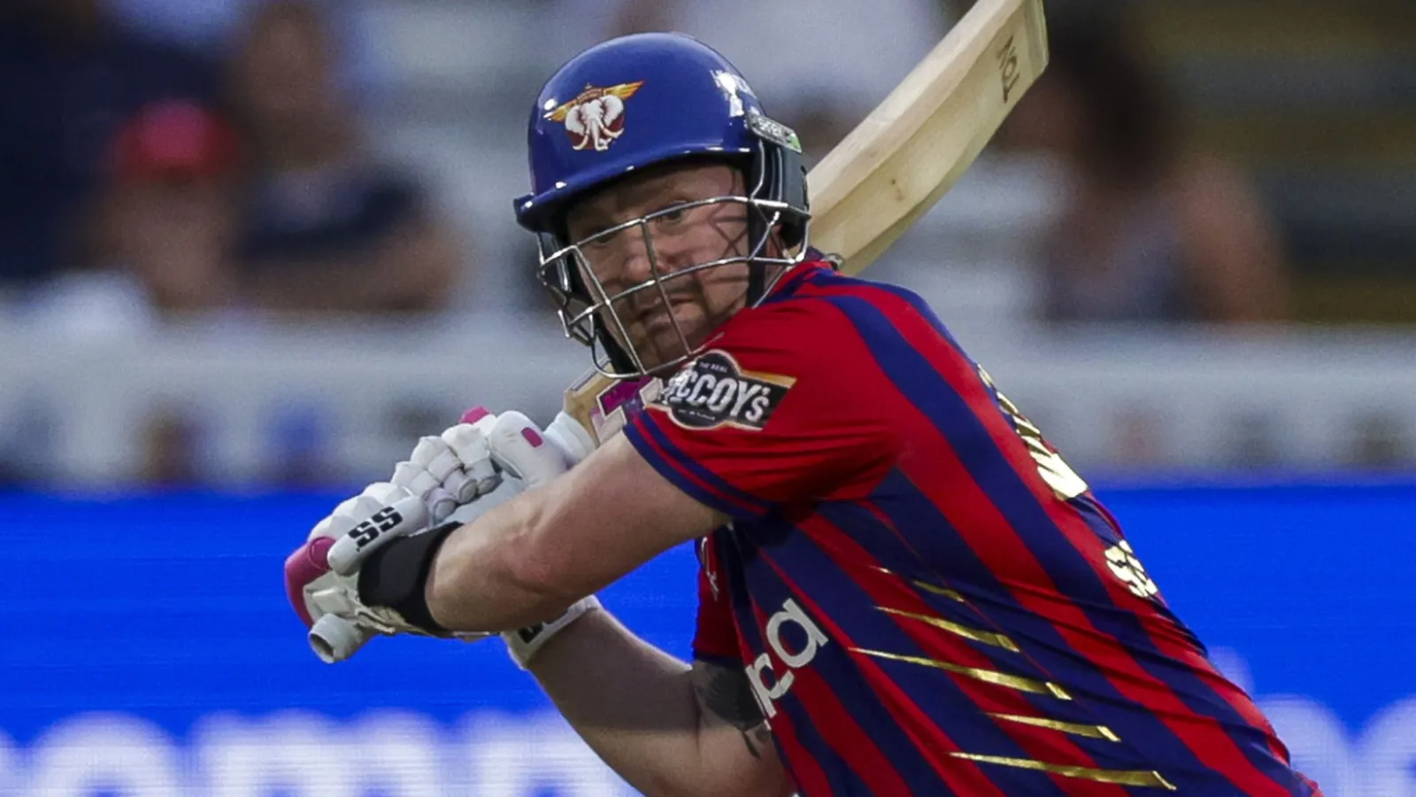 Tim Seifert smashed the fastest fifty in men's Hundred finals